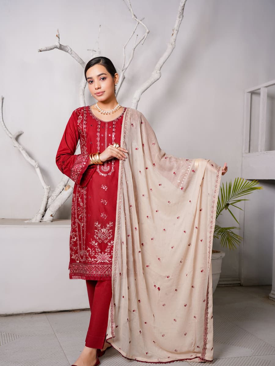 Terracotta Embroidered Kurti
